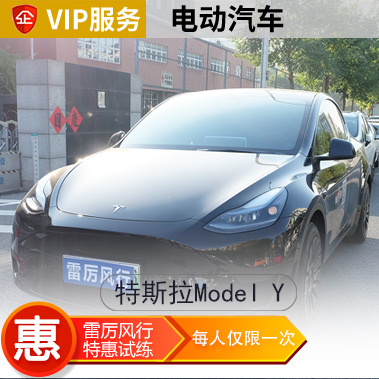 [新能源]特斯拉Model Y汽车陪练